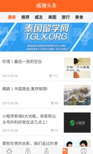 威賺 北京國(guó)聯(lián)中微網(wǎng)絡(luò)技術(shù)股份公司產(chǎn)品與服務(wù)解析